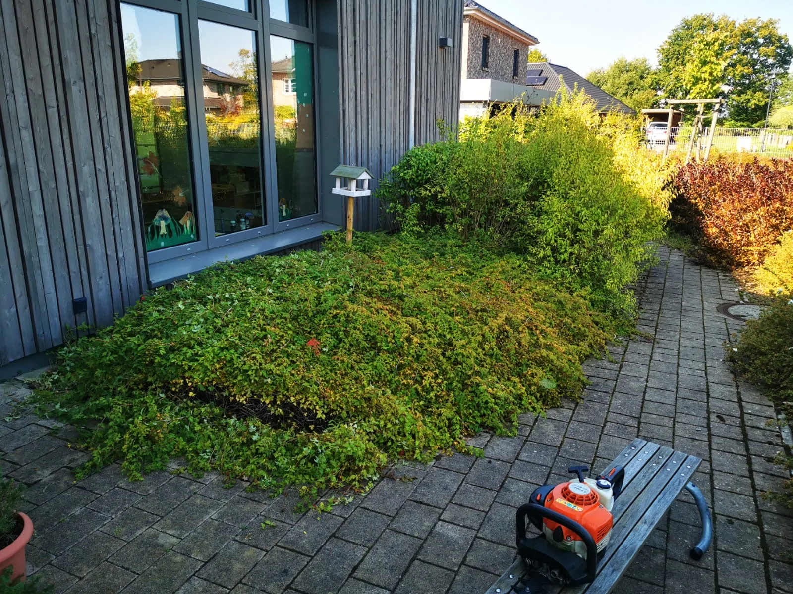 Gartenpflege Uetersen Vorher