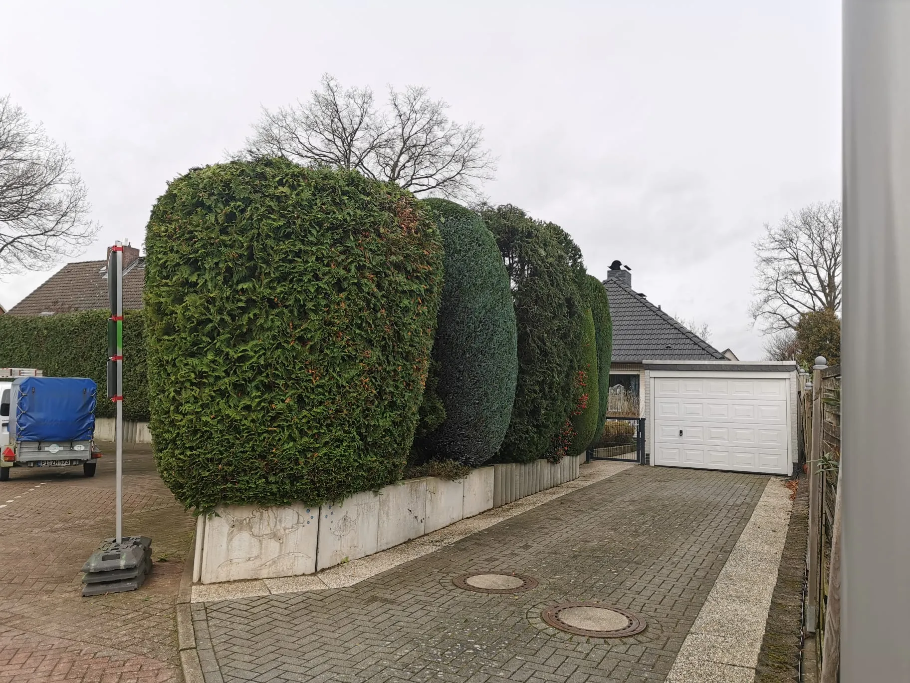 Garten-Refresh Elmshorn Nachher - Komplette Beetaufbereitung.