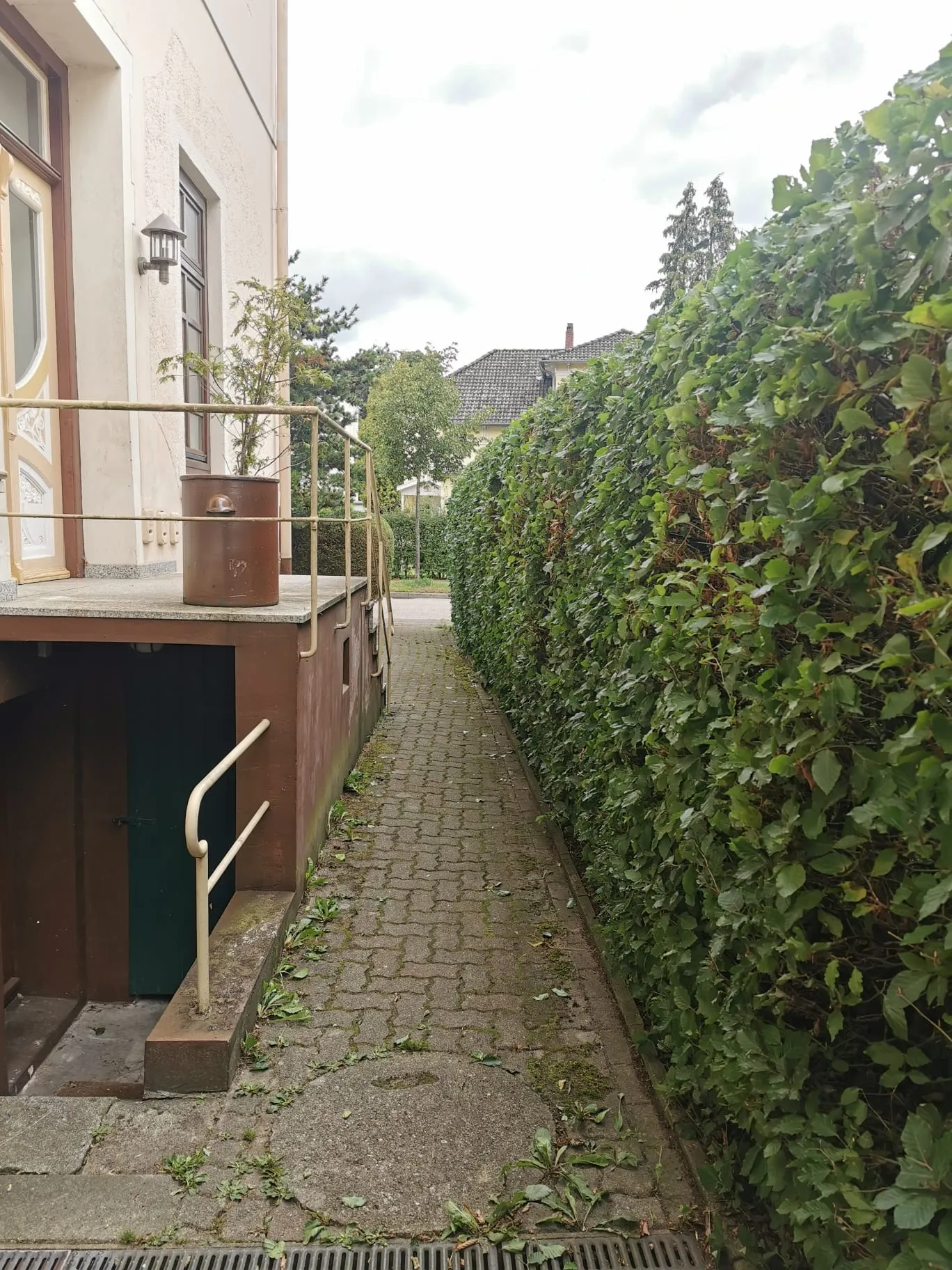 Garten-Service Hamburg West Nachher - Saubere Beetkanten.