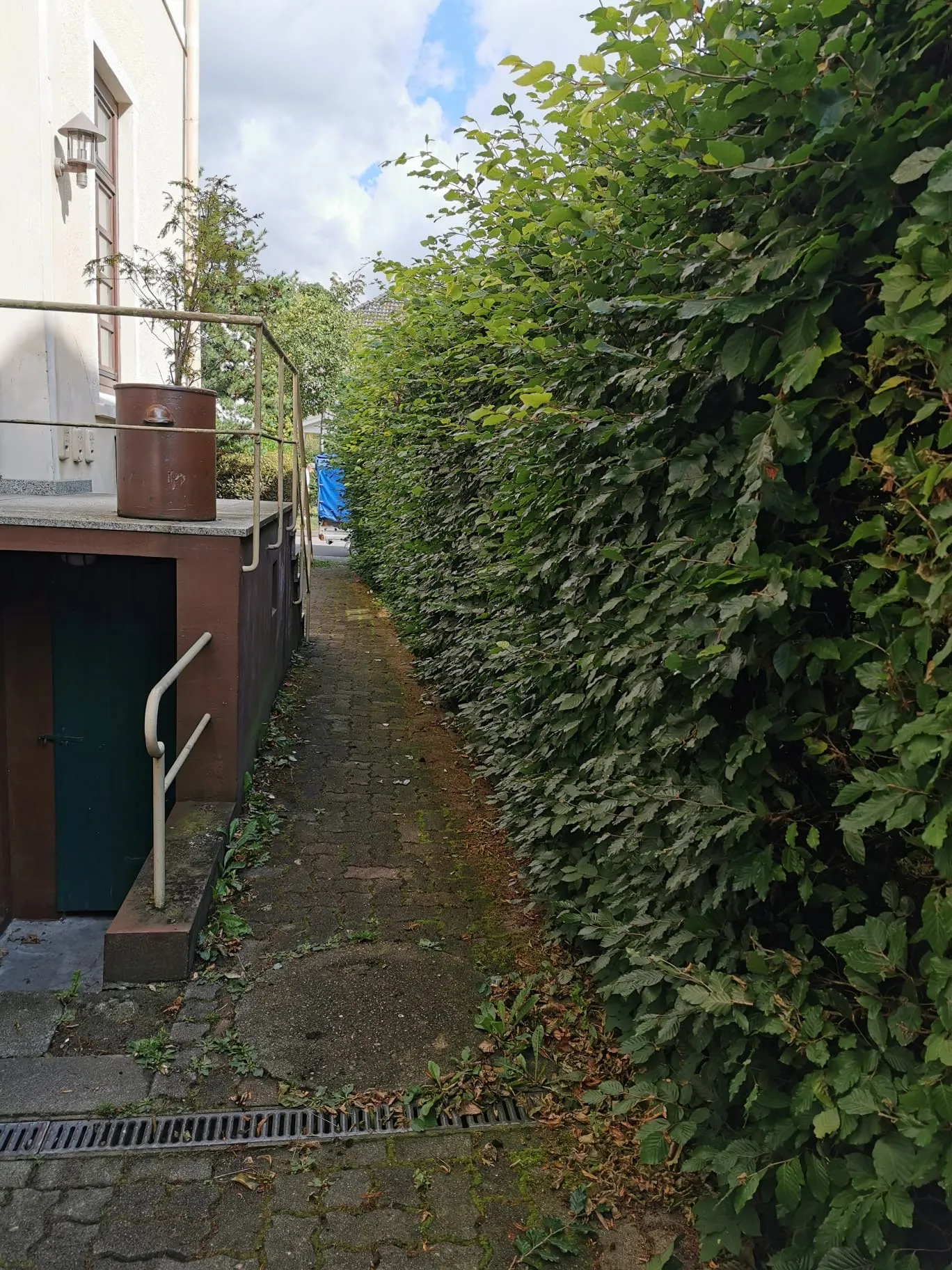 Garten-Service Hamburg West Vorher