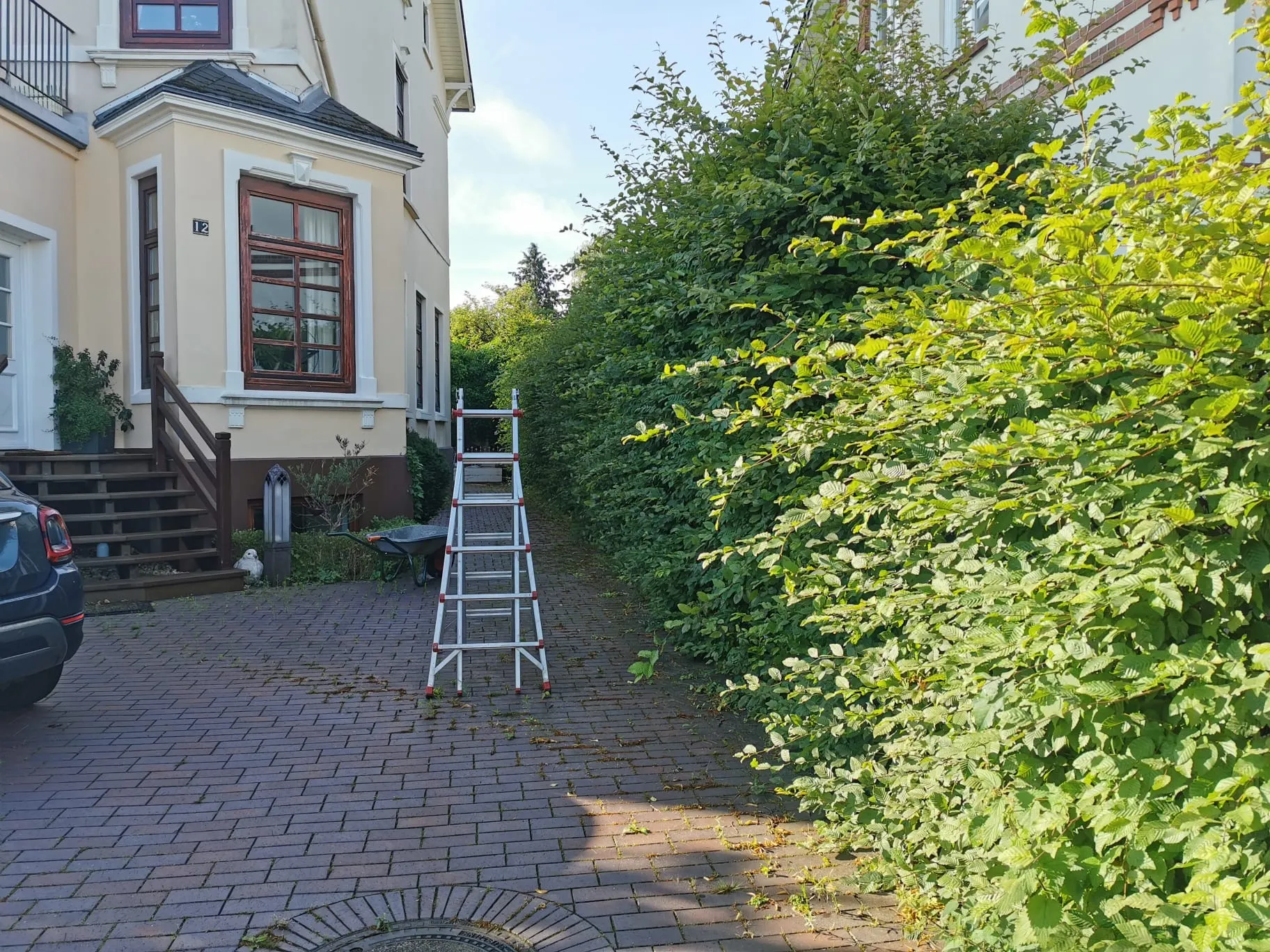 Gartenpflege Marsch Vorher