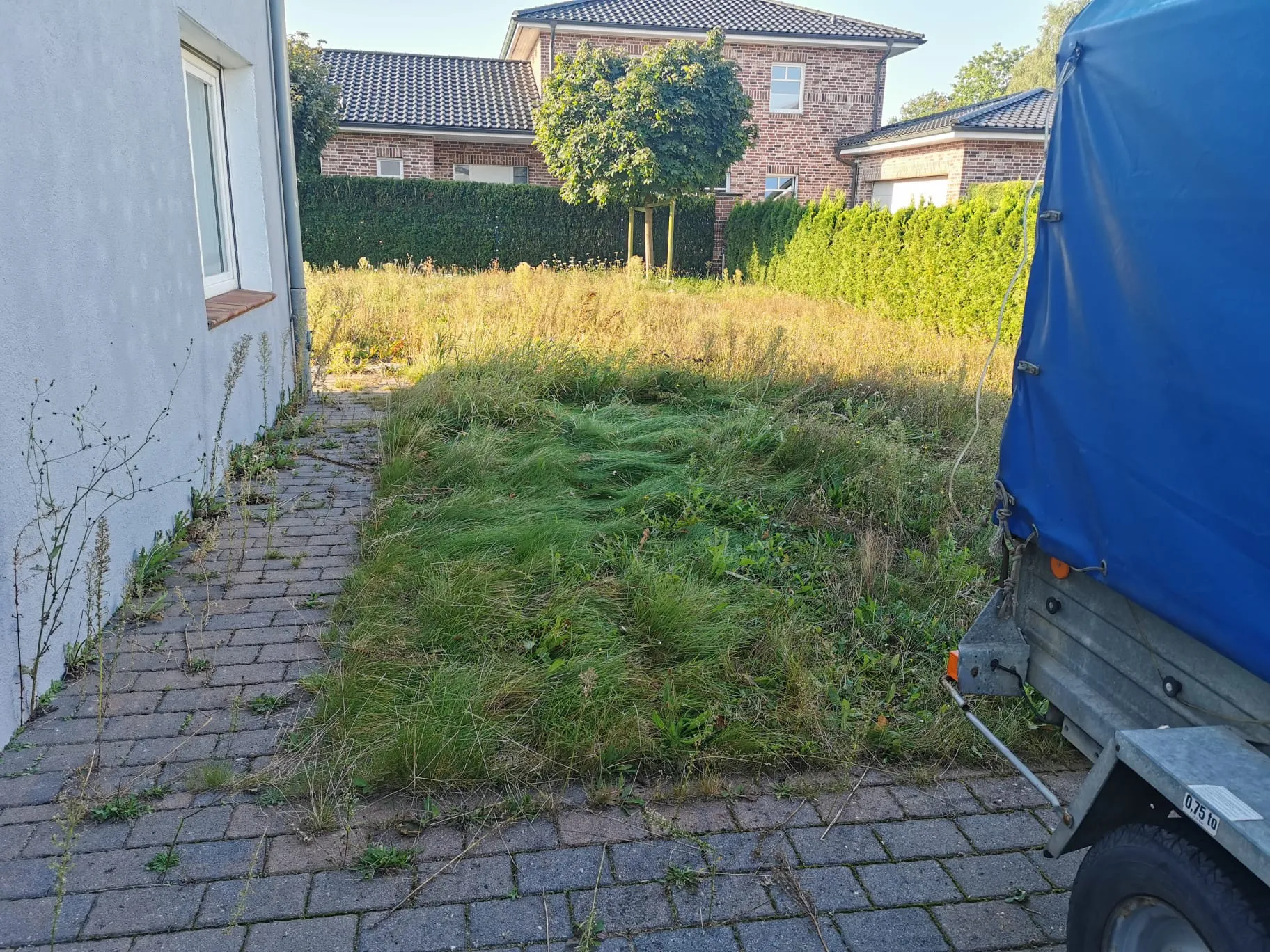 Gartenpflege Kummerfeld Vorher