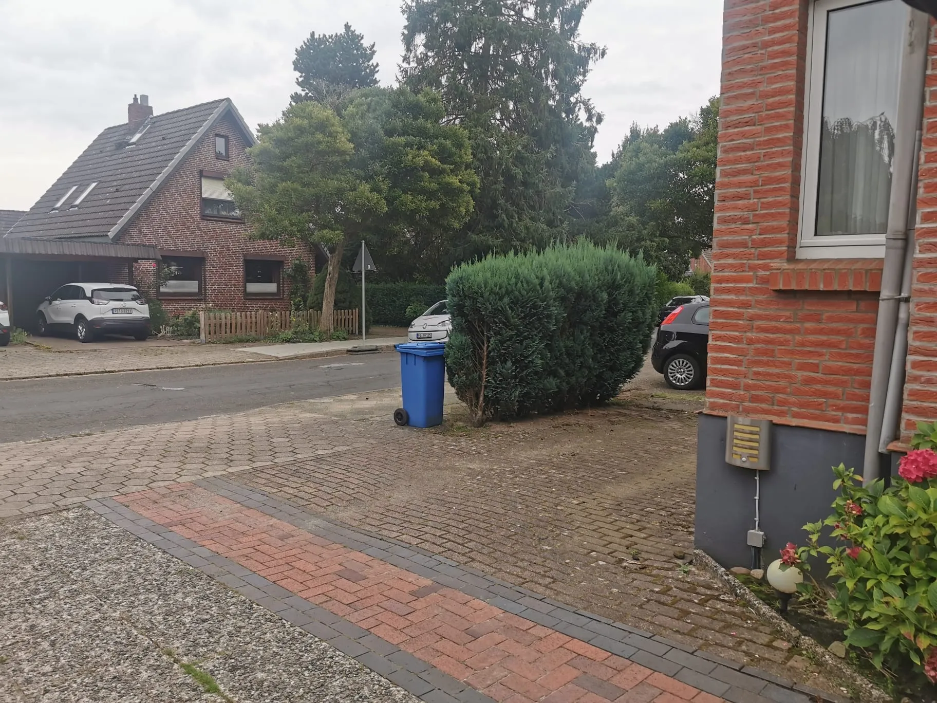 Heckenschnitt Heist Vorher