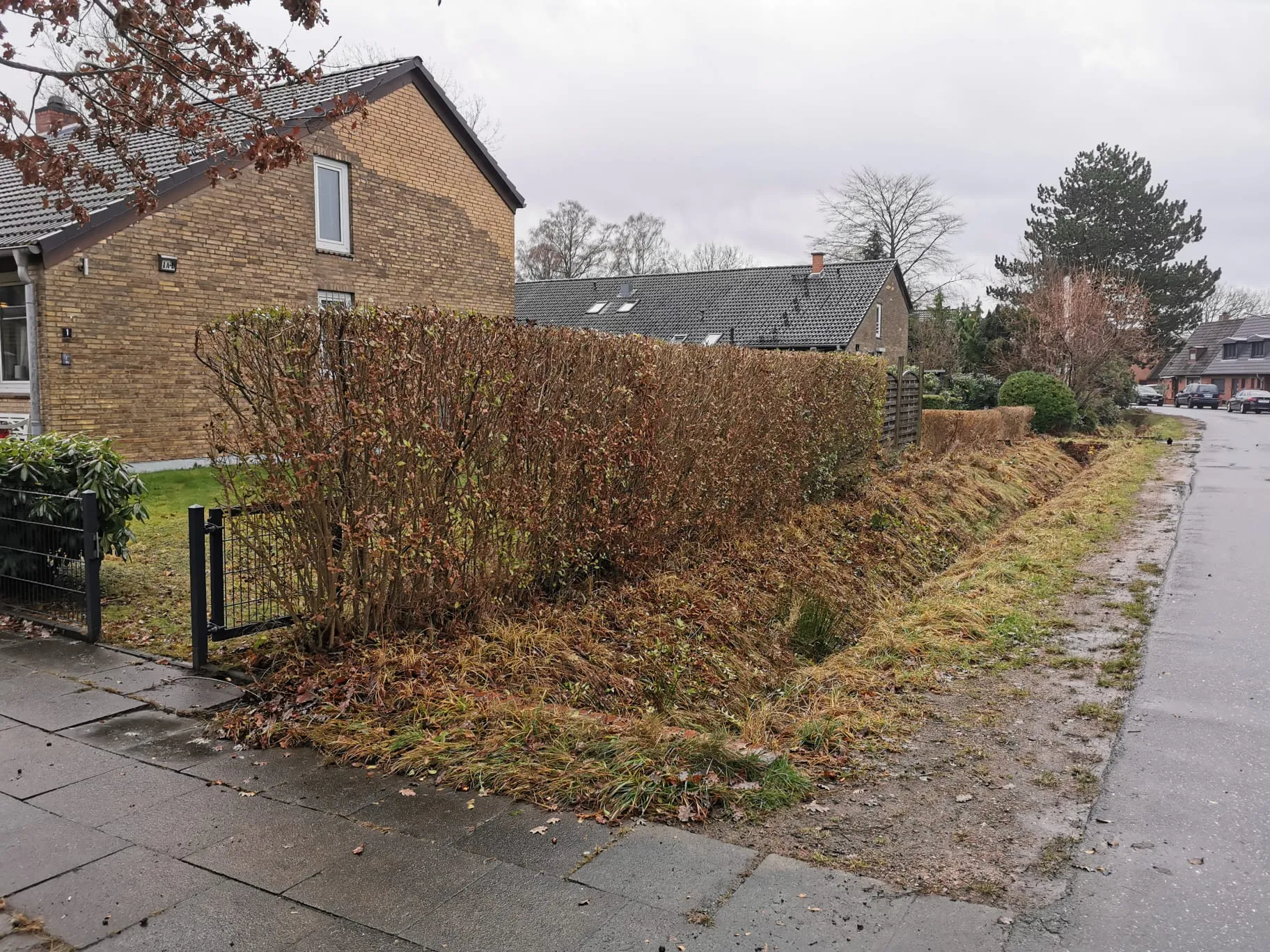 Heckenpflege Uetersen Nachher - Gleichmäßiger Formschnitt.