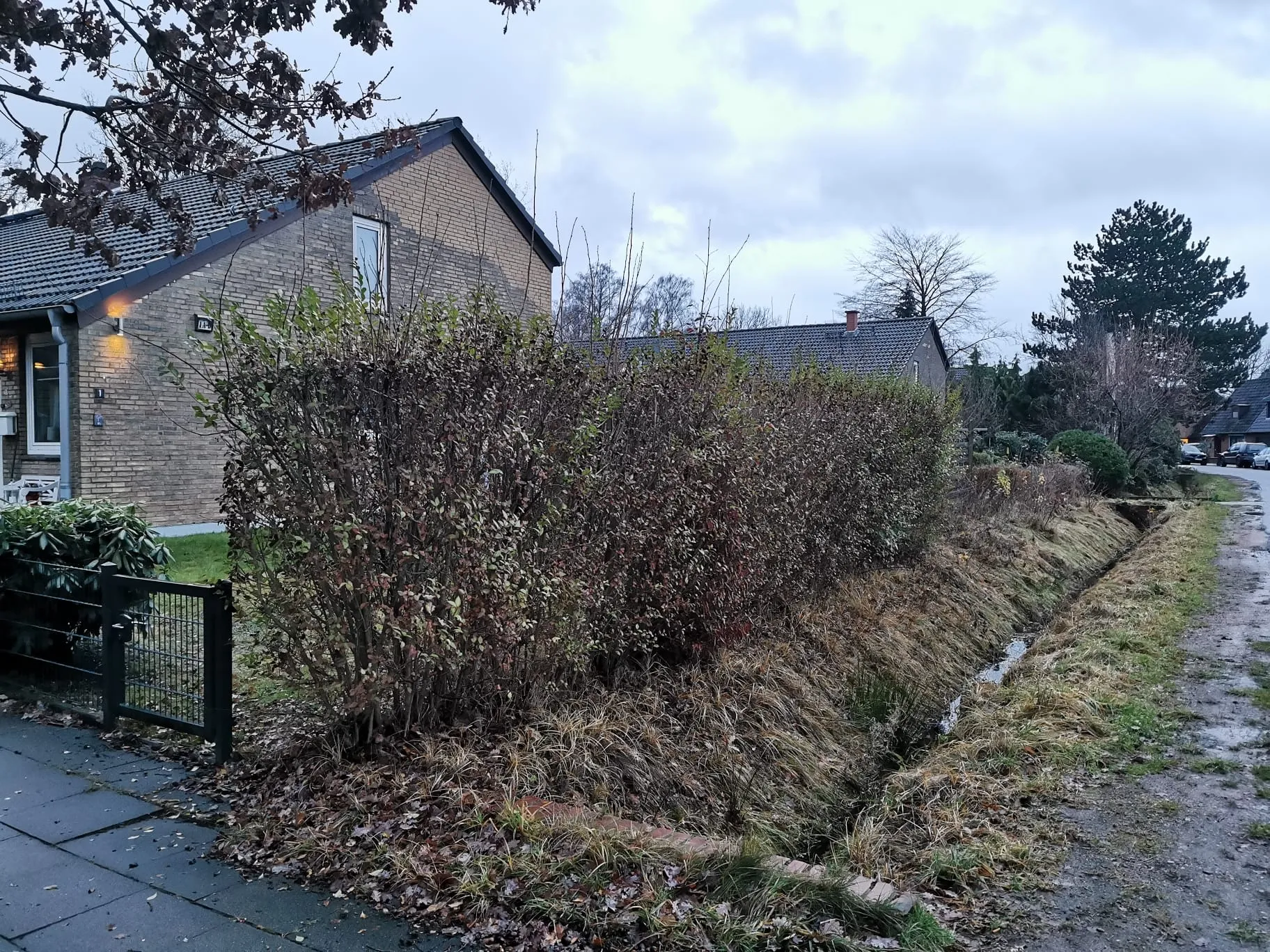 Heckenpflege Uetersen Vorher