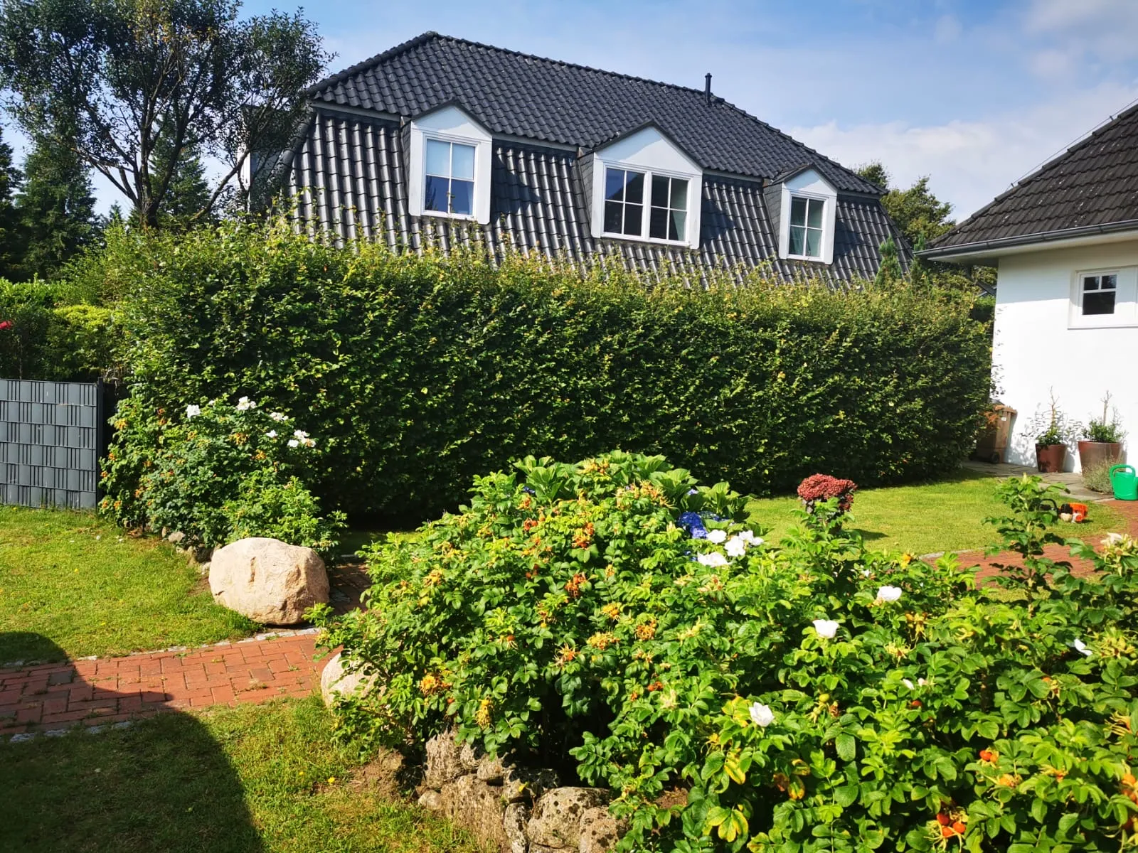 Heckenpflege Heidgraben Vorher