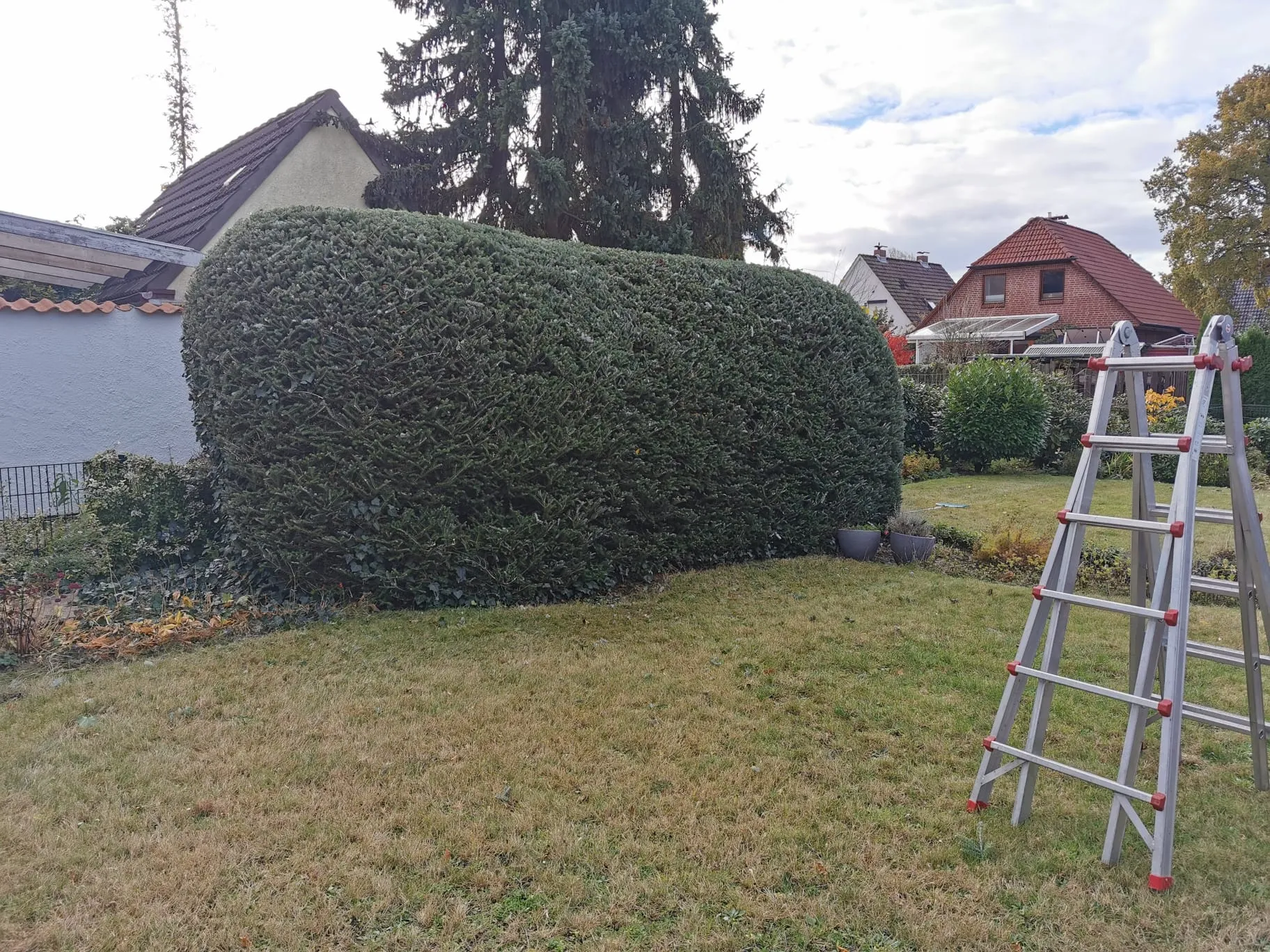 Heckenschnitt Kummerfeld Nachher - Große Heckenflächen.
