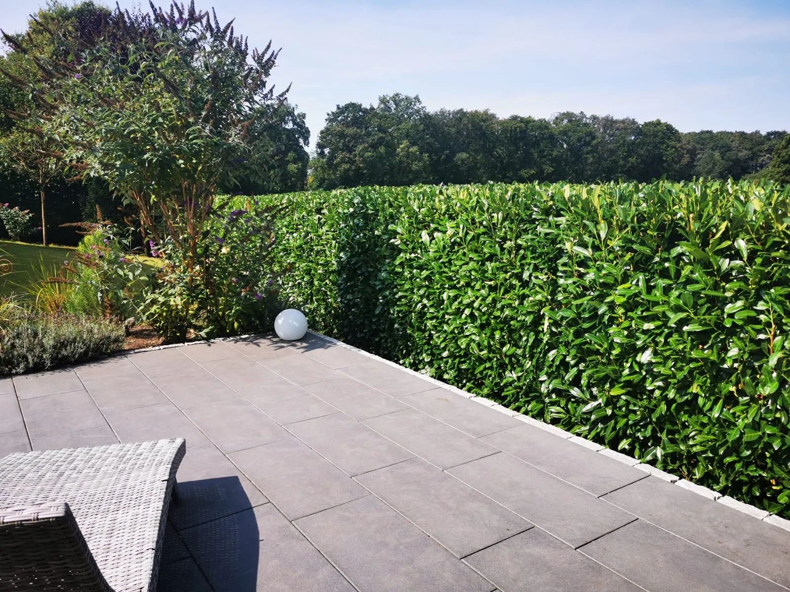 Heckenpflege Prisdorf Nachher - Akribische Kleinarbeit.