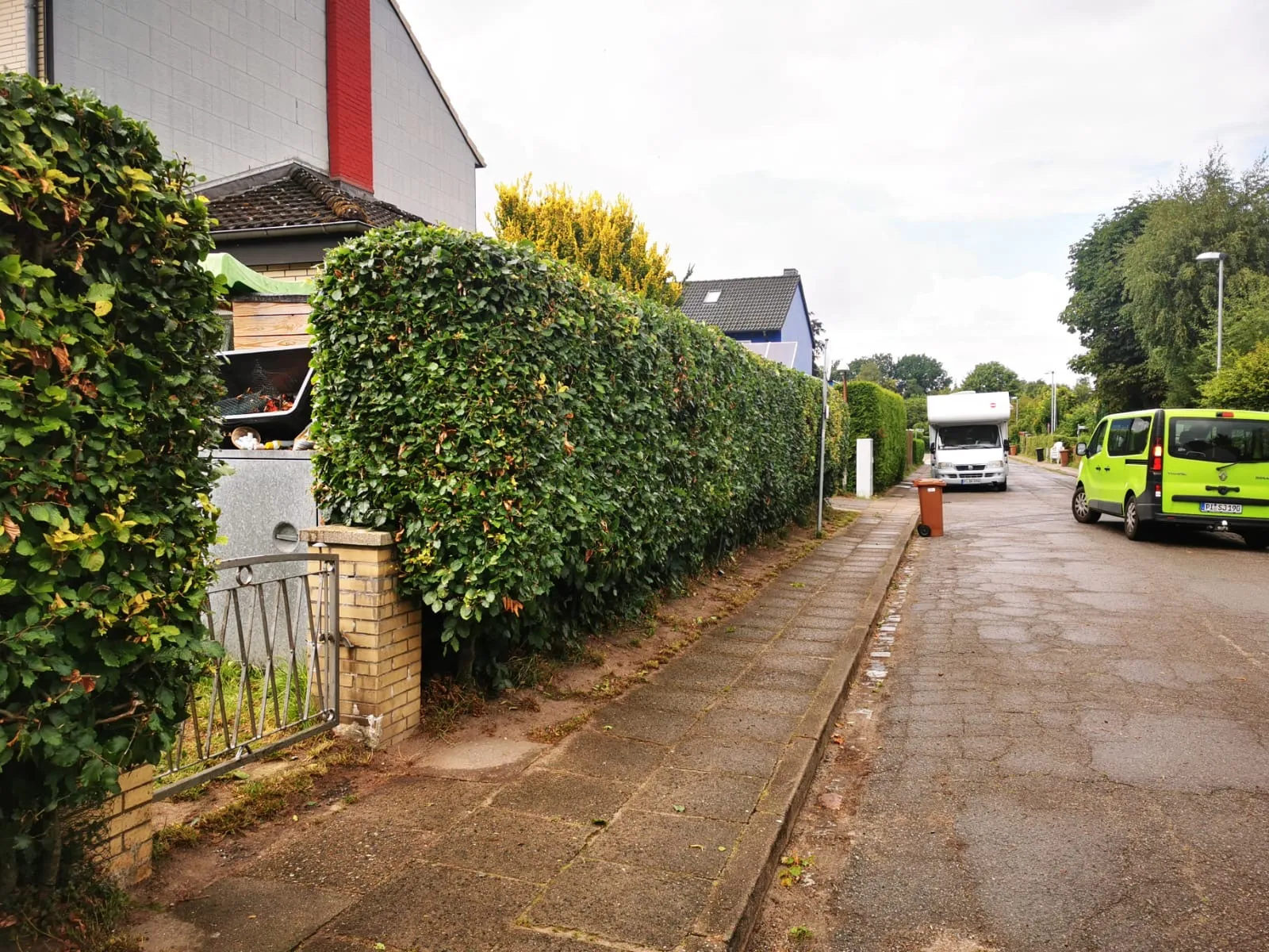 Heckenpflege Neuendeich Nachher - Radikalschnitt möglich.