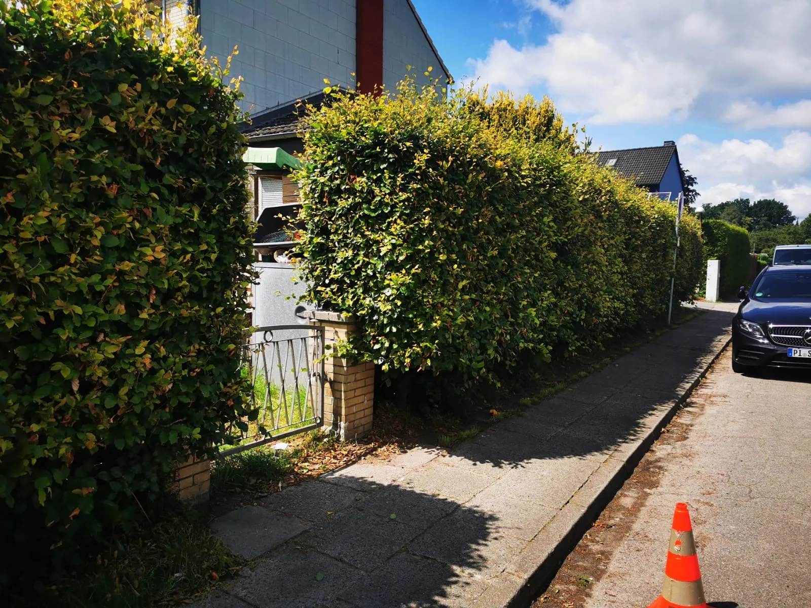 Heckenpflege Neuendeich Vorher