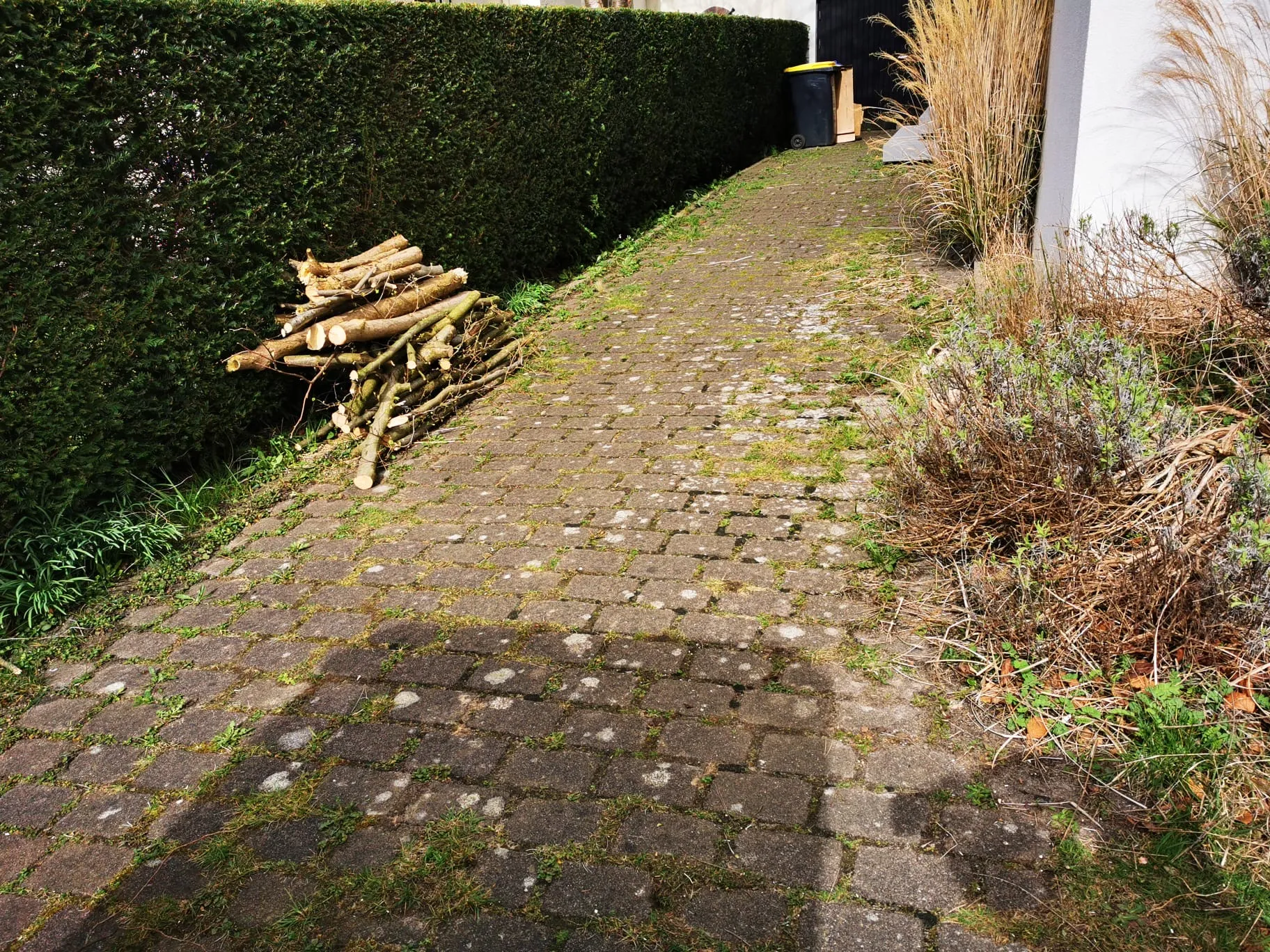 Grundstückspflege Hamburg West Vorher