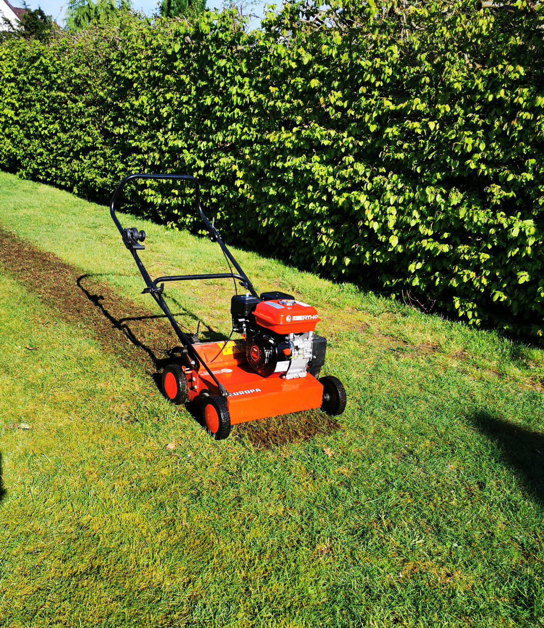 Professionelle Gartenpflege im Kreis Pinneberg - Rasenmähen und Beetpflege